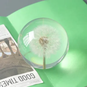 Real Dandelion Inside Resin Sphere 70mm 80mm 90mm Decor Ball